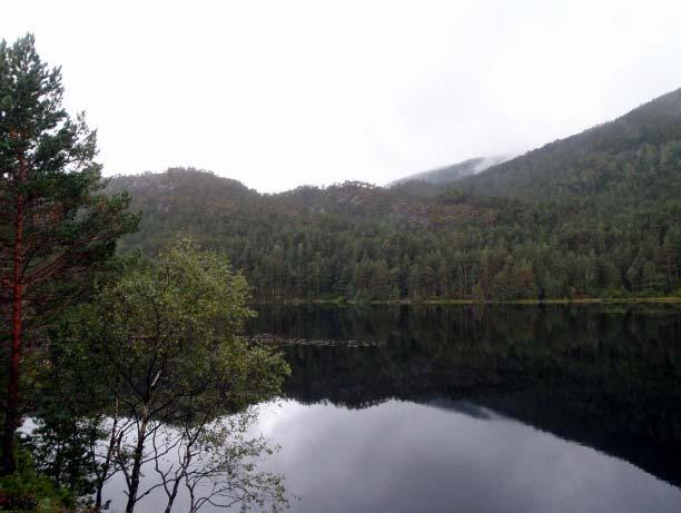 stigning mellom dalbunn og topp på begge sider. Øvre grense er derfor satt ved høydekote 150 m fordi terrenget her flater ut og nedre grense er satt ved høydekote 80 m.