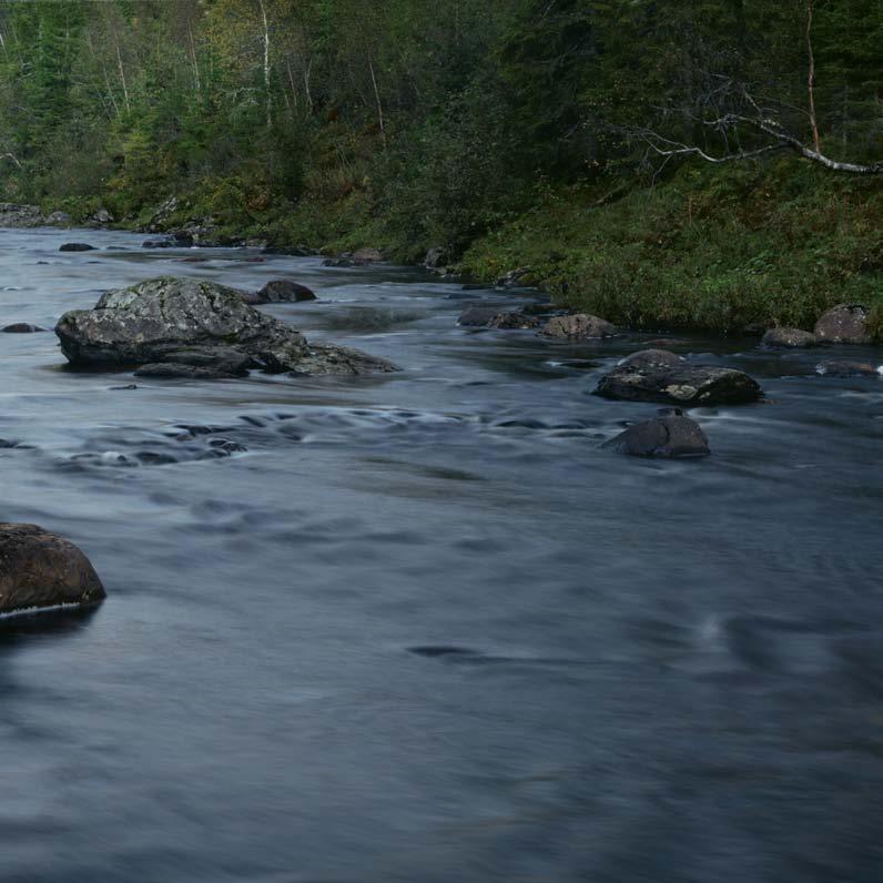 Informasjon om planlagt utbygging av Snillfjord kraftverk