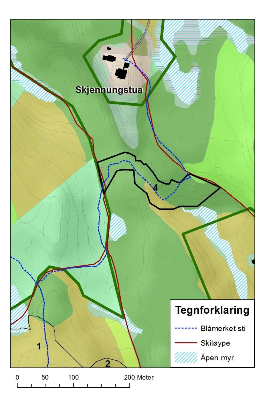 Prioritering av tiltak Middels til høyt prioritert. Myrer vil naturlig gro igjen med tiden, men drenering av myrene har eskalert denne prosessen.