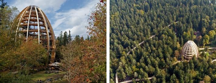 nationalpark-bayerischer-wald.