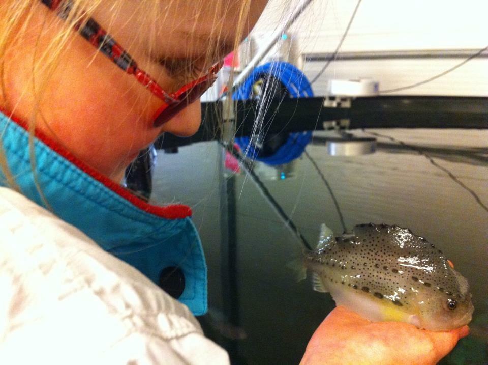 Hvilke faktorer viser seg å være særskilt kritiske knyttet til nye metoder Fisken får rett