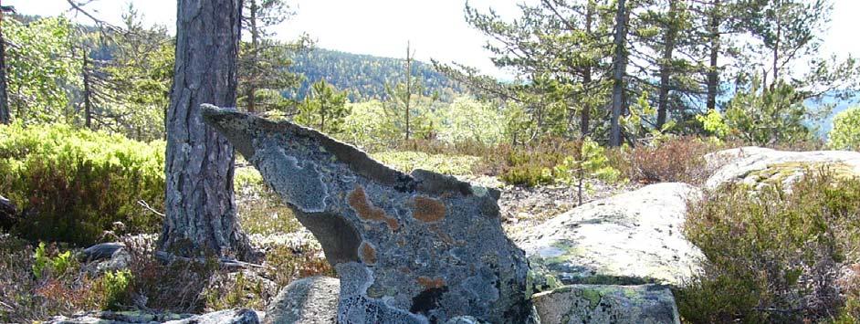 RESULTAT AV UNDERSØKELSEN Alle myrene gjorde at området ble registrert med tanke på jernfremstilling.