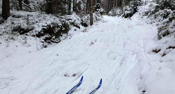 Årsberetning 2016 // 25 hele Østmarka, fra Groruddalen/Lørenskog og helt til Ski/Enebakk. For markastua Sandbakken er turveien svært viktig, ifølge bestyreren der.