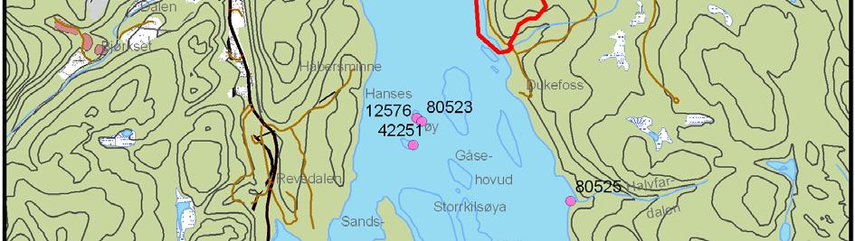 Gjennom den vestlige delen av planområdet går en skogsbilvei fra nord mot sør.