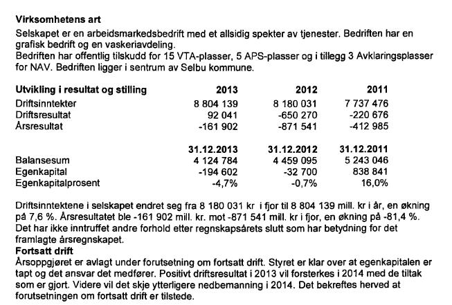 10. Regnskapsmessige opplysninger (som sier noe om utviklingen de siste årene):