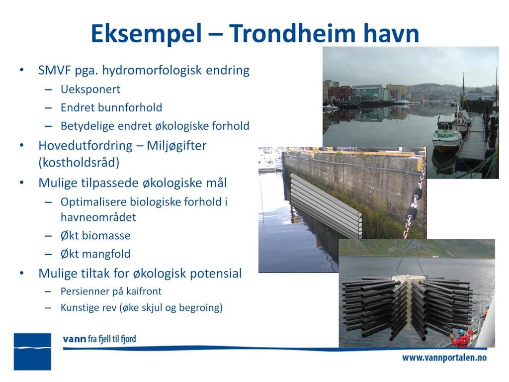 Forslag fra konsulent, Kystverket er ikke enige. Hovedtiltak her vil være miljømudring. Når miljøgiftene er fjernet kan det være aktuelt med andre tiltak.