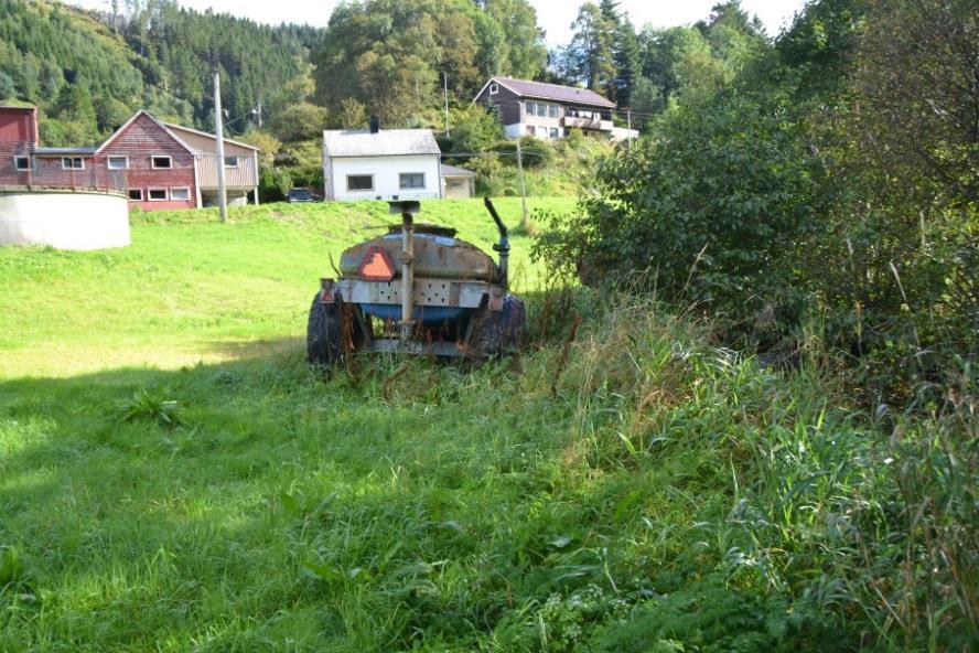 Generelle observasjonar: Det er kantvegetasjon med tre og buskar langs mesteparten av elvestrekninga, noko som gjev godt grunnlag for naturleg dyre- og planteliv i elva.