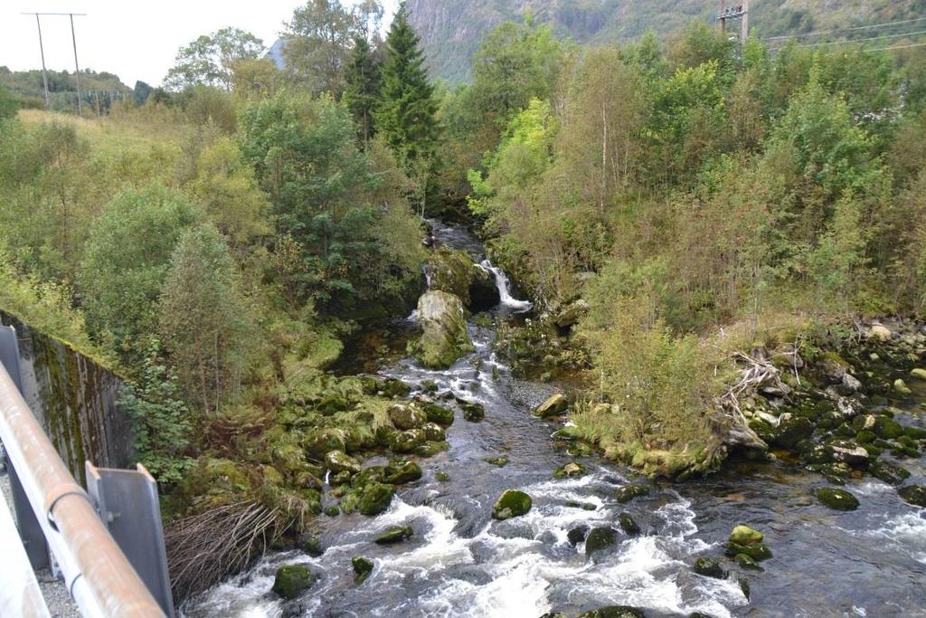 Vassprøvetaking i Kvielva like over samløpet med Rivedalselva.Vassprøve 6.