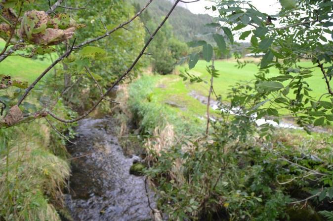 Rivedalselva, 180 m nedom bru Rv 609. Vassprøve 8.