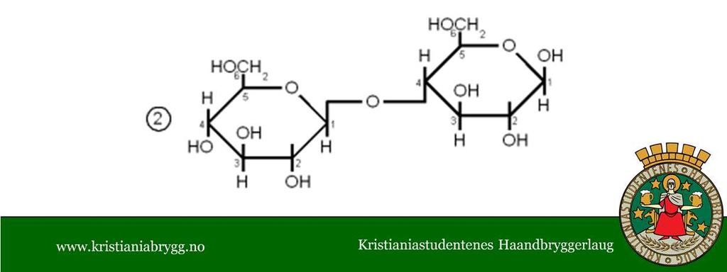 På tegningen: 1: Maltose, 2: Cellubiose Maltose Det viktigste sukkeret i brygging!