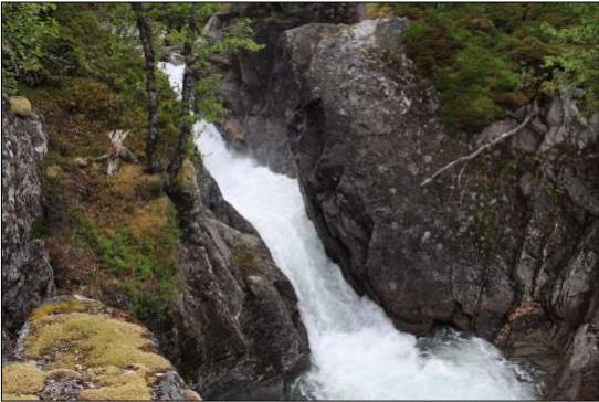 elvemusling er lavt. Det er ikke kjent hvorvidt det er ål (CR) i vassdraget. Ål har en spredt utbredelse på sine oppvekstområder i ferskvann, og tettheten avtar jo lenger nord man kommer i landet.