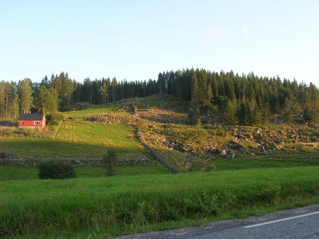 Regionalt miljøprogram Fylkesmannen