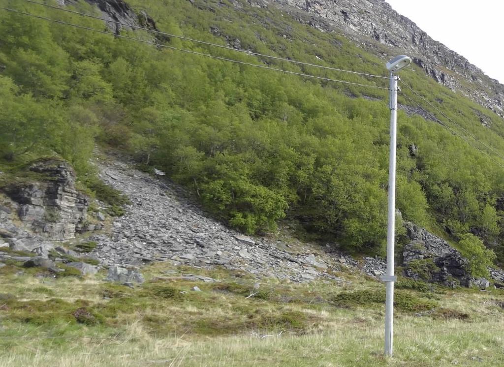 Foto 2: Foto viser typisk terreng langs skjæringene inn mot det søndre påhugget ved Hønsa.