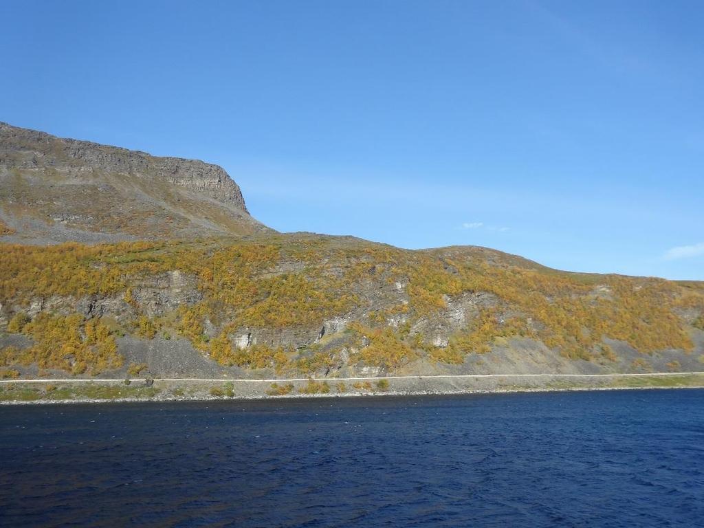Foto 3: Oversiktsfoto viser terreng langs skjæringene mellom profil 5300-6600 (nordsiden av Skarvbergvika).
