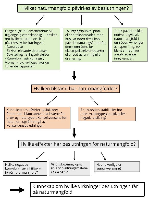 8 Kunnskapsgrunnlaget Offentlige beslutninger som berører naturmangfoldet skal så langt det er rimelig bygge på vitenskapelig kunnskap om arters bestandssituasjon, naturtypers utbredelse og