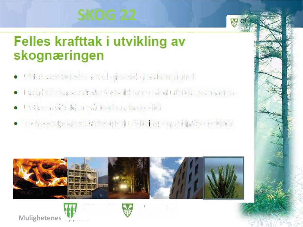 SKOG 22