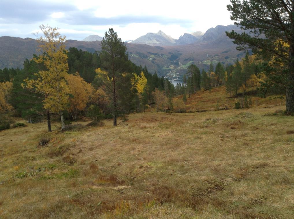 Vestlandet Skjøtselplan for slåttemyra Gjerdå, Ytste Skotet, Skotsdalen, Stordal kommune, Møre og Romsdal.