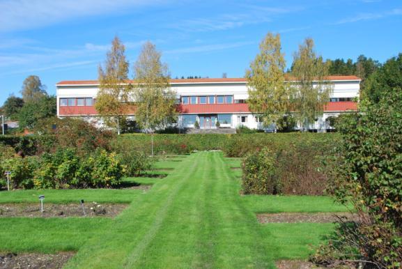 større og mindre beitemarker hvor ulike husdyrarter går ute sommerstid.