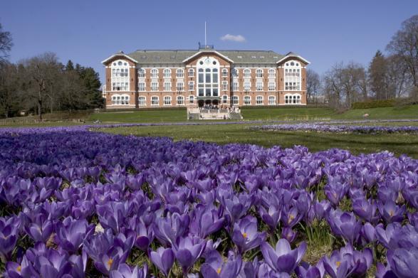 Aksesystemet i Moens parkplan er et vesentlig trekk ved komposisjonen og binder sammen bygninger, park og landskap til en helhet.