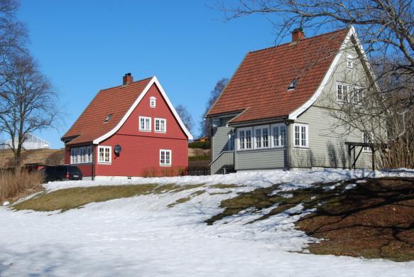 Fougnerhaugen sammen med Nordskogen og Bøhmerwald er med på å gi parken en ramme av store velvoksne trær. Fougnerhaugen ble i 1880-årene anlagt som et arboret med en blanding av bartrær og løvtrær.