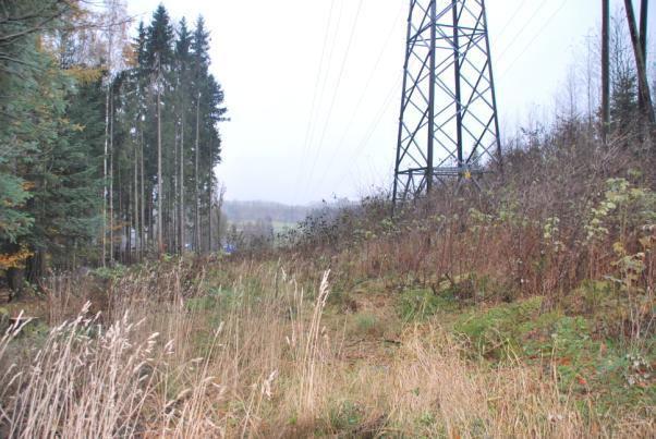 I skogsområde er det etablert en lysløype. En kraftlinje tangerer Nordskogen i sør og dominerer visuelt i overgangssonen mot Campus. Delområdet gis middels verdi.