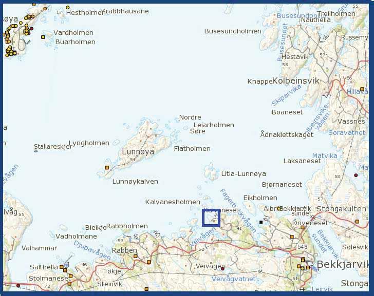 REGULERINGSPLAN 5313: Knivavikje på Kalvanes Side 11 av 38 5.6 Naturverdiar Område er typisk utmarksområde i Austevoll.