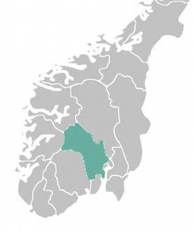 Regional planstrategi et verktøy for å ta stilling til hvilke spørsmål som er viktige å ta tak i for fylket se ut over kommunegrensene og de enkelte offentlige myndighetenes ansvarsområder å skape