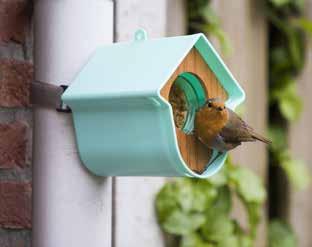 FUGLEMATER SingingFriend Evie En morsom og litt annerledes fuglemater.