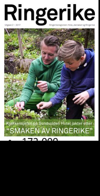 Innsatsområde befolkningsvekst