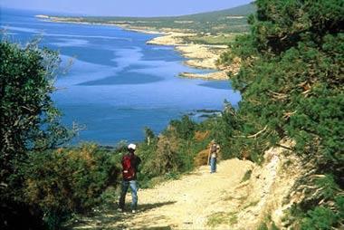 5 Etter en pause ved fossen fortsetter vi å gå til landsbyen Platres. Herfra kjører vi til vinområdet ved Limassol og spiser lunsj på en tradisjonell restaurant i den sjarmerende landsbyen Omodos.