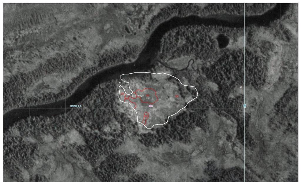 Kart/ortofoto Sillermoen i Øvre Forra naturreservat i 1964 (øverst)