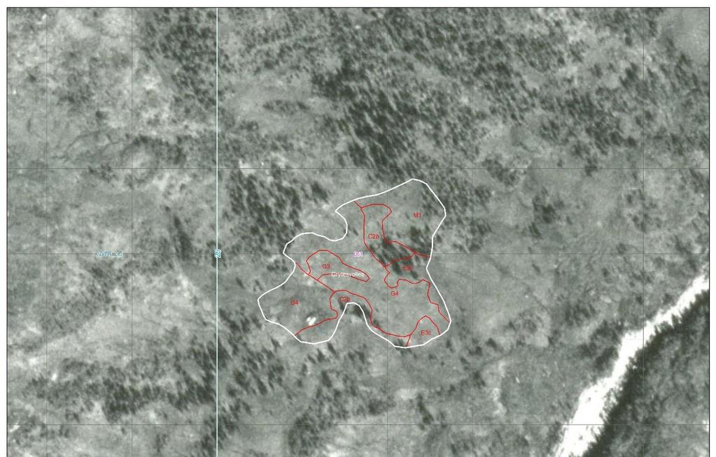 Kart/ortofoto Grytesvollen i Øvre Forra