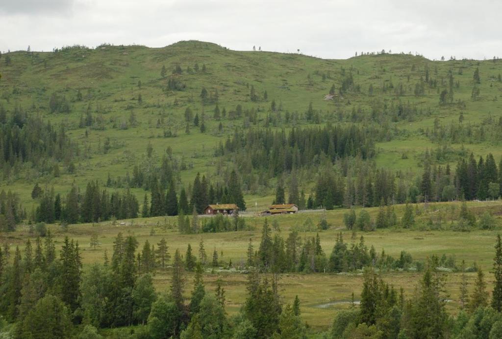 Midt-Norge Skjøtselsplan for Roknesvollen og Heståtangen, kulturmark i Øvre Forra naturreservat, Levanger kommune, Nord-Trøndelag fylke.