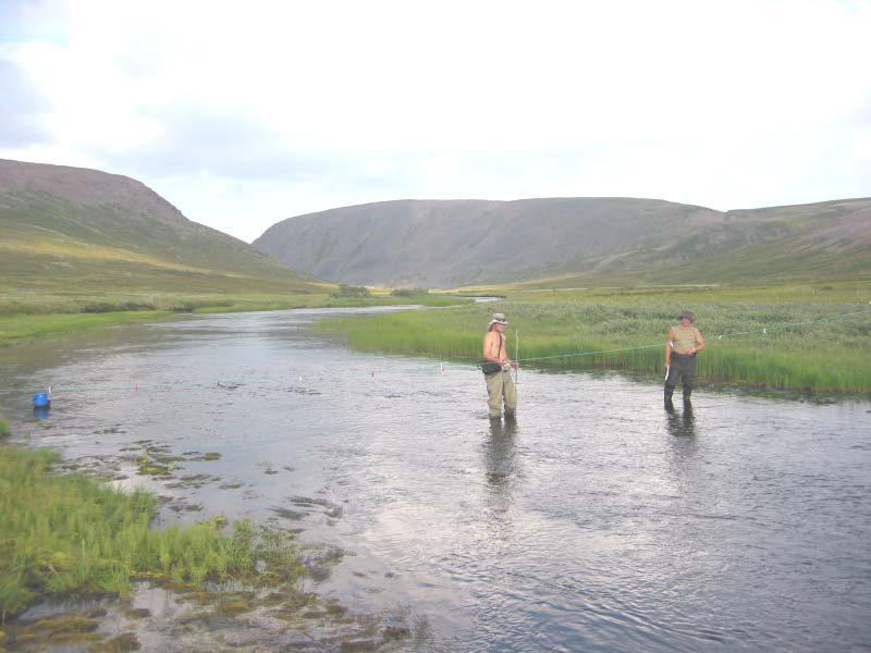 Habitatbruk hos sameksisterende ungfisk av laks (Salmo salar) og røye (Salvelinus alpinus) i et vassdrag på Varangerhalvøya Habitat use by co-existing juvenile Atlantic salmon (Salmo salar) and