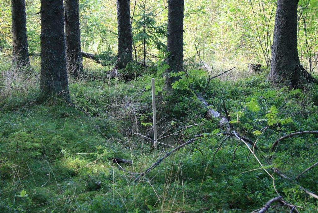 Strukturbeskrivelse av kullmile 115406 Kullmilen sees i terrenget som en lav og rund forhøyning med grunne korte grøfter, avbrutt av broer i mellom.