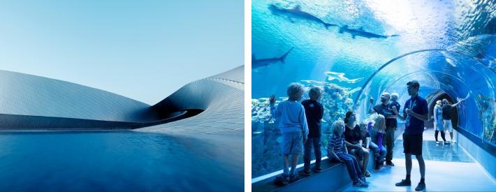 Den Blå Planet er et akvarium i verdensklasse og et nytt arkitektonisk landemerke. Den Blå Planet har vann på alle sider og skal gi de besøkende en følelse av å være under havets overflate.