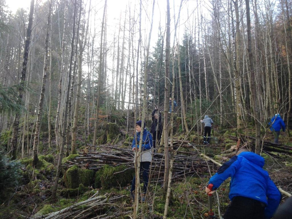 Sløyd 8.klasse har vært i Langeskogen og funnet gode emner til årets sløydprosjekt Skolens 2.