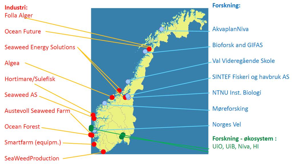 1.Om søker 1.