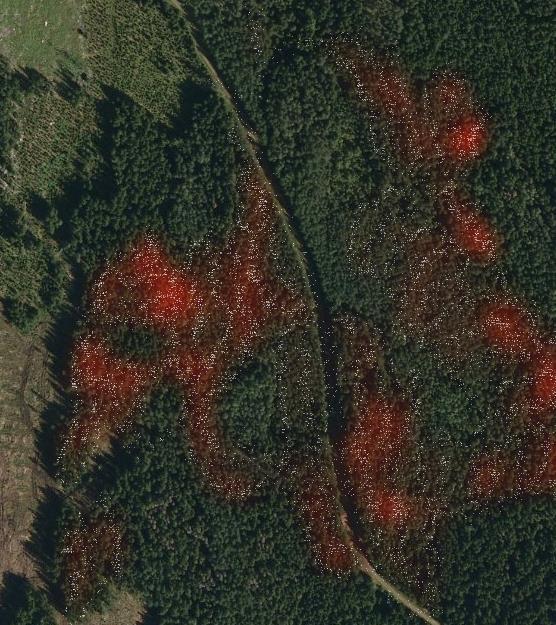 Produksjonsdata på kart Hvite prikker indikerer hvor hogstmaskinen sto når treet ble felt. Rød farge indikerer tyngdepunktet volumet sto.