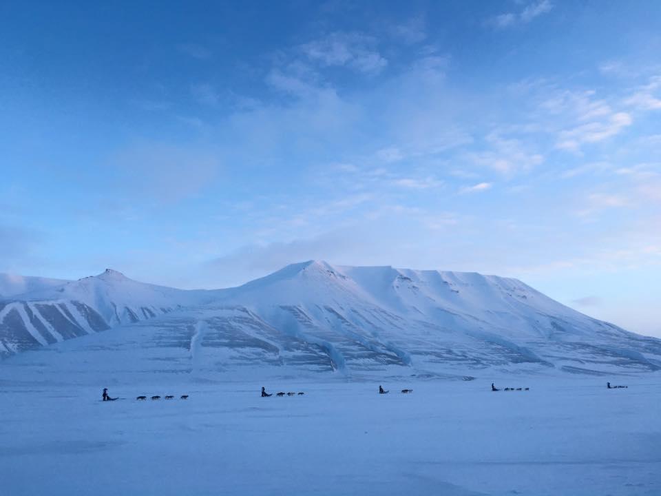 Bolterdalen Rundt 27 Februar Løpsansvarlige var Runa Solvang. Vanskelig å få frivillige til å stille på løpet. Ble delt opp i 2 klasser, 1 hund og 2 hunder.