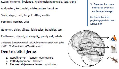 Utvikling av følelsesregulering