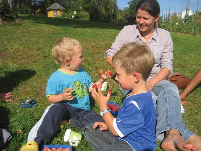 7 Økologisk mat i barnehagen Hvorfor? Begrunnelsene for å bruke økologisk mat i barnehager er mange. Forskjellige barnehager vil ha ulike begrunnelser for sitt valg.