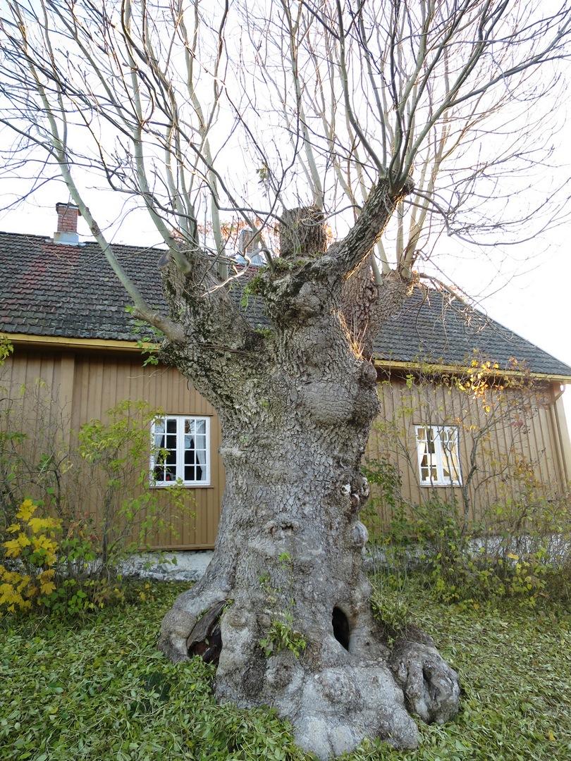 i Fjerdingby, i Rælingen kommune.