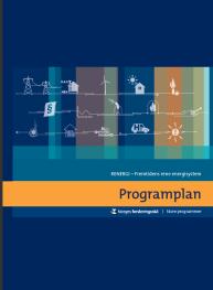 programmet, hvordan innsatsen skal innrettes og hva som forventes.