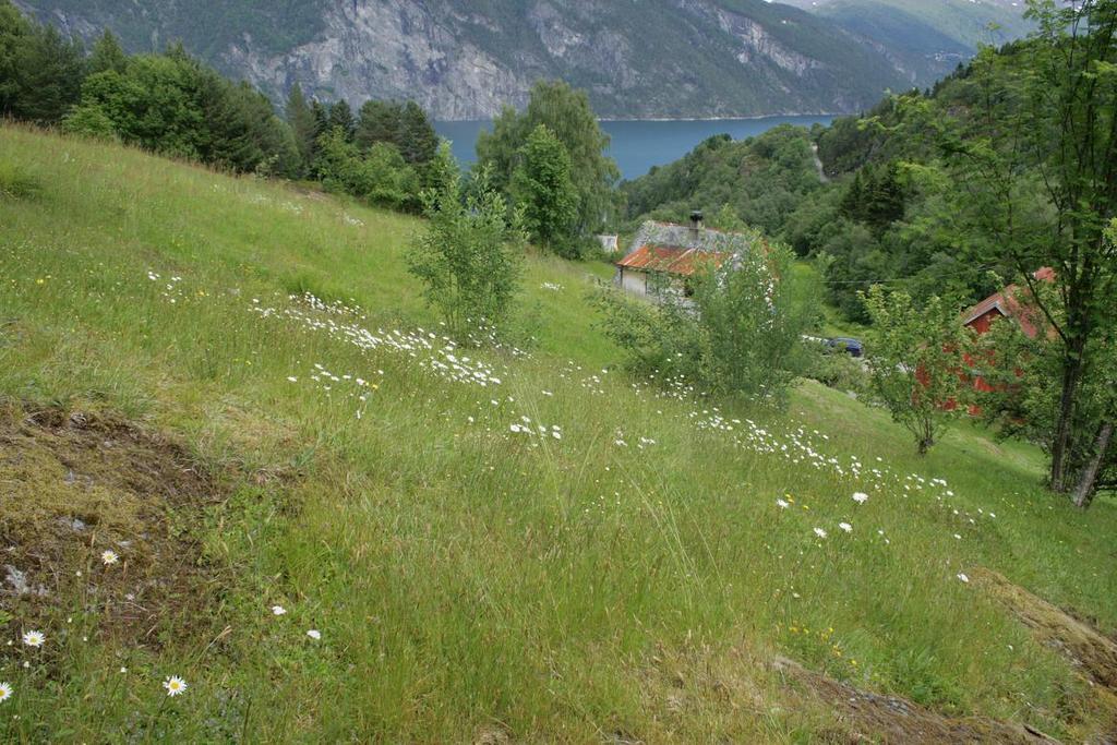 kommune, Møre og Romsdal