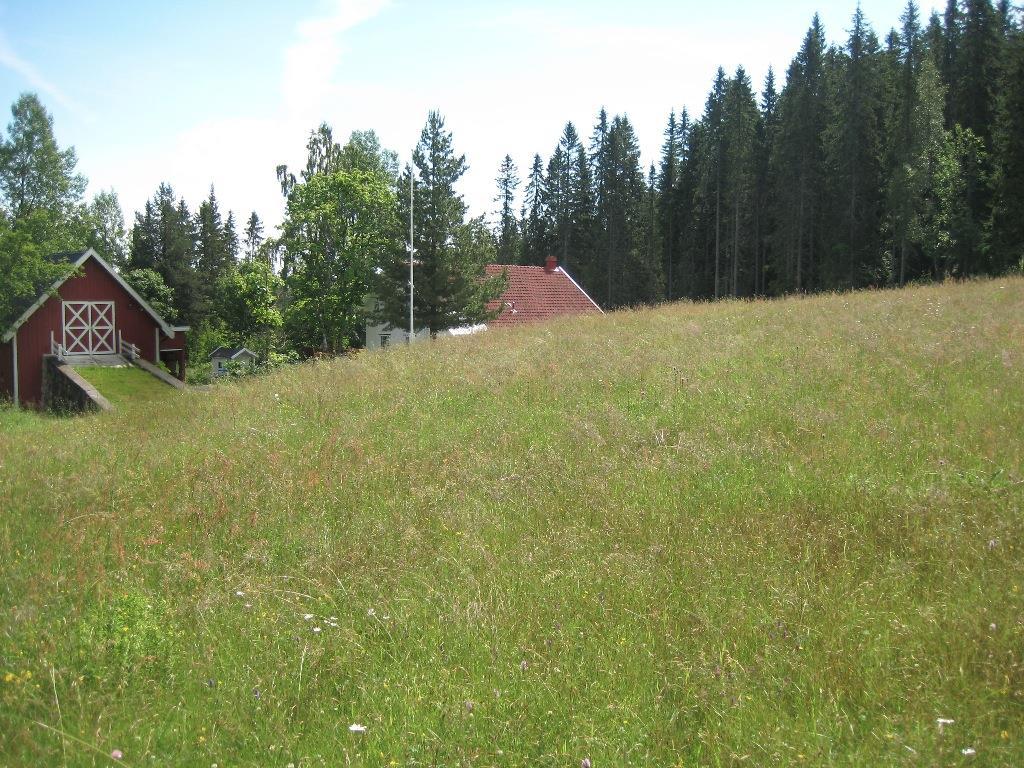 Østlandet Skjøtselplan for Fredly slåttemark, Vestre Toten kommune, Oppland fylke. OVERSIKTSBILDE fra lokalitet Figur 1. Nedre del av slåttemarka på Fredly med frisk-fuktig svak lågurteng.