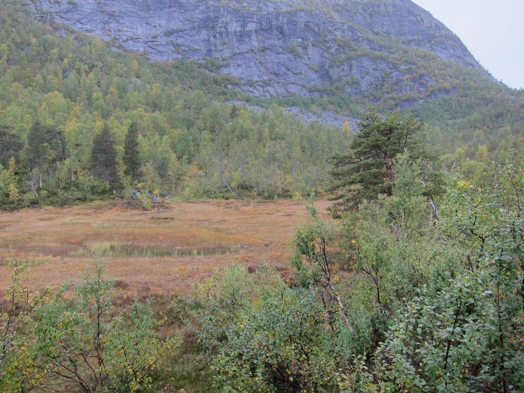 forhøyning nordvest for en våt myr, og er intakt. Kulturminnet er vist på de vedlagte kartene, og er med i vedlagte liste over kulturminner i området. Se vedlagte skisse.