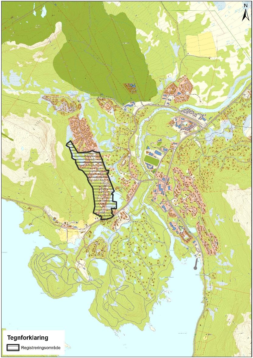 Området Registreringsområdet ligger sentralt på Hovden, i bunnen av østskråningen til Hovdenuten. Registreringsområdet er markert med skravur på kartet til høyre.