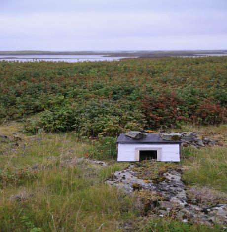 VEDLEGG 2: Søknad om tillatelse Søknad om tillatelse til prosjektarbeid med fokus på ærfugl i landskapsvernområde i Vest agder. Søker: Aanon Kristoffer Gjertsen, født 28.12.90.