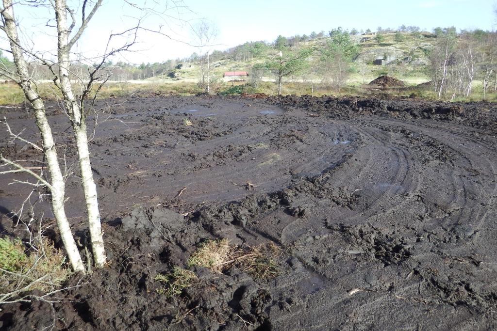 Bilde 6 Oppgravde masser planeres ut oppå naturlig